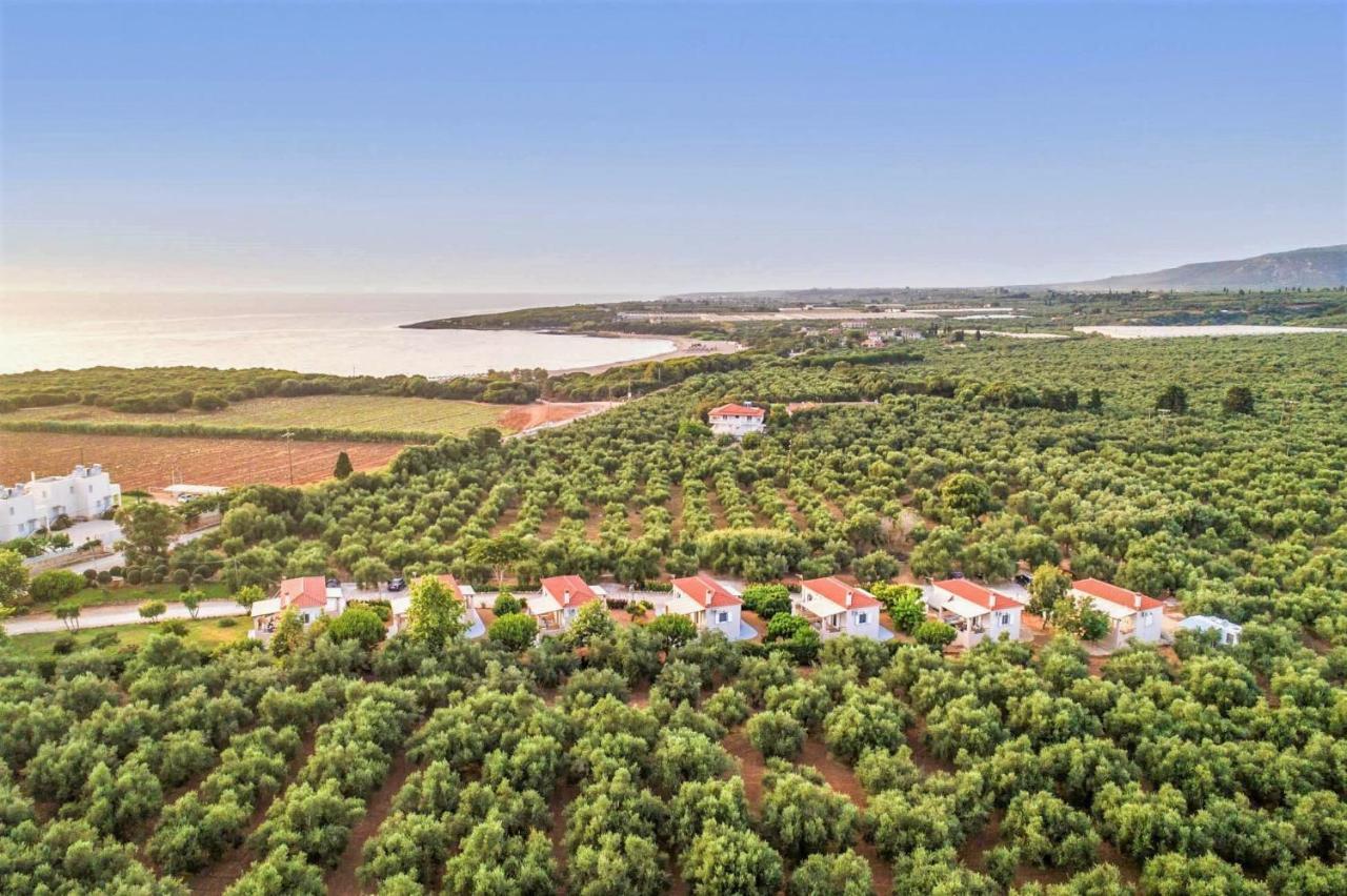 Lagouvardos Apartments Marathópolis Zewnętrze zdjęcie